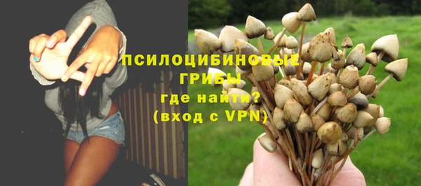 сатива Лагань