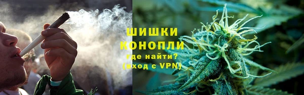 индика Ладушкин