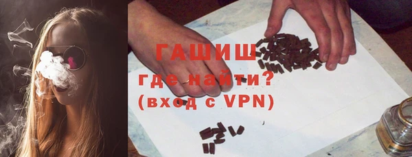 индика Ладушкин