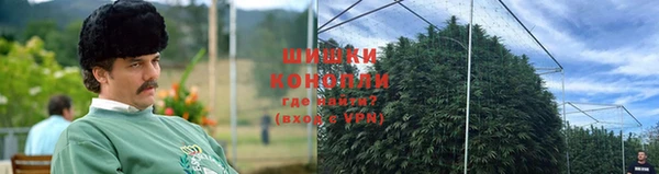 ГАЛЛЮЦИНОГЕННЫЕ ГРИБЫ Лабытнанги