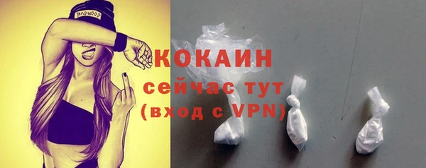 индика Ладушкин