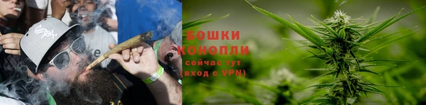 ГАЛЛЮЦИНОГЕННЫЕ ГРИБЫ Лабытнанги