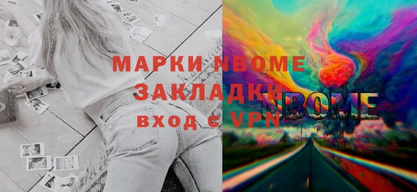 индика Ладушкин