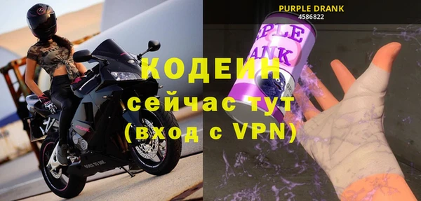 индика Ладушкин