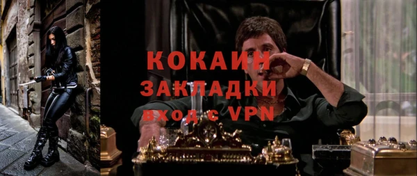 ГАЛЛЮЦИНОГЕННЫЕ ГРИБЫ Лабытнанги