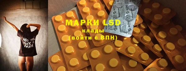ГАЛЛЮЦИНОГЕННЫЕ ГРИБЫ Лабытнанги