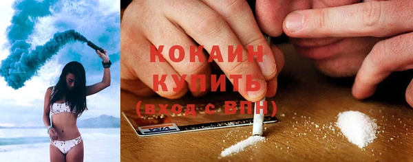 индика Ладушкин