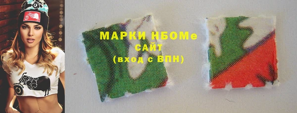индика Ладушкин