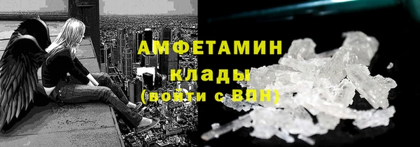 индика Ладушкин