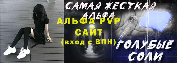индика Ладушкин
